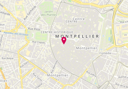 Plan de Franca Negri, 1 Philippy, 34000 Montpellier
